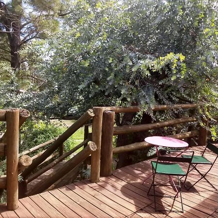 Cabanas Del Uru Colón Dış mekan fotoğraf